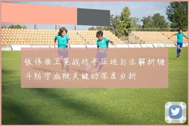 张伟丽卫冕战对手压迫打法解析缠斗防守成败关键的深度分析